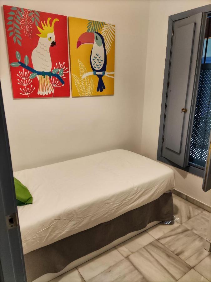 Coqueto Donkey Apartment Sevilla Bagian luar foto